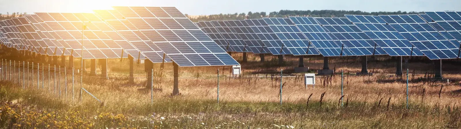 Ground Mount Solar