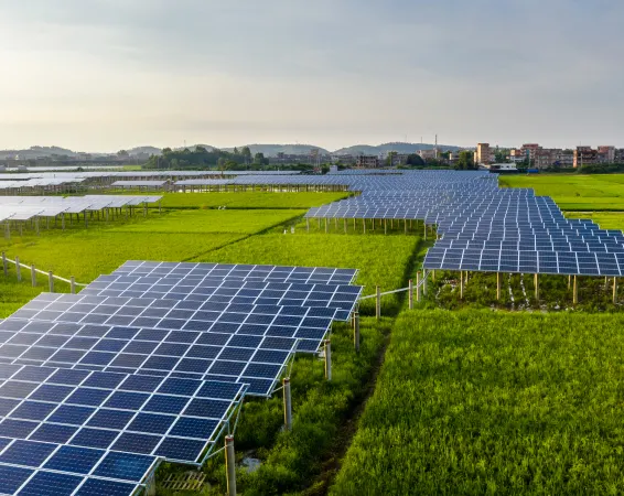 solaragri