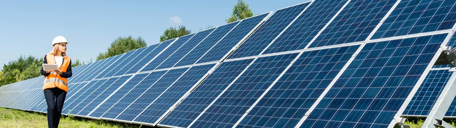 Solar Insurance
